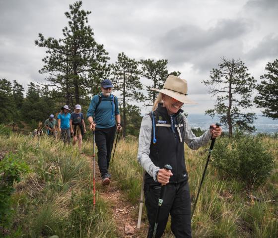 A group hike along a grassy slope with ponderosa pine and crub oak in the background. 